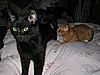 Alle drei in einem Zimmer - ein seltenes Bild :-)