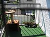 Endlich Sonne f&uuml;r die alten Knochen...