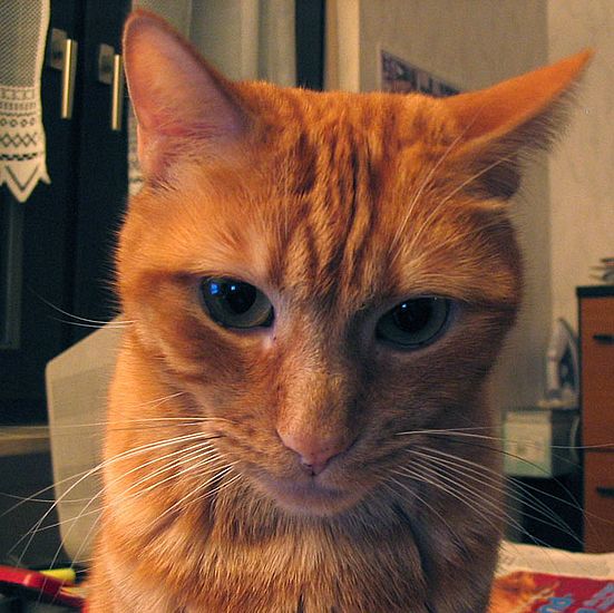 Nachdenklicher Blick