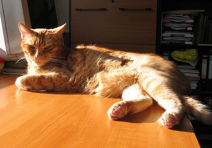 Ein Platz an der Sonne