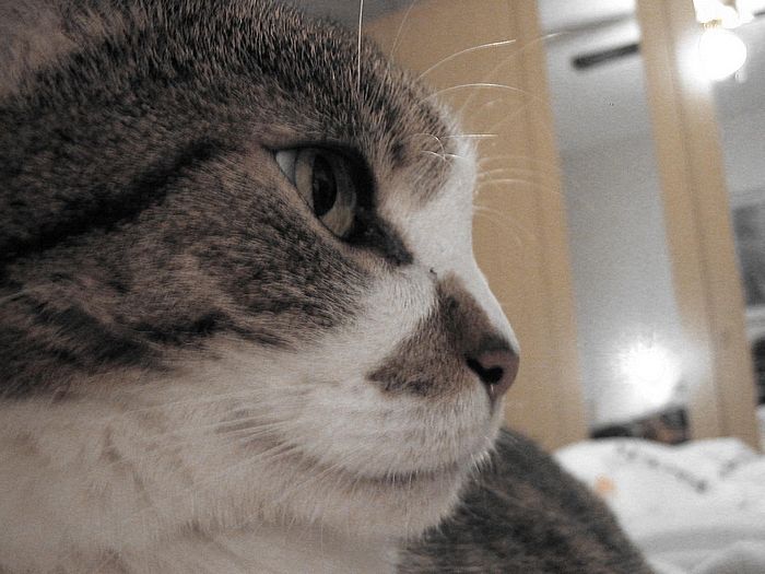 Loulou beim Schmusen