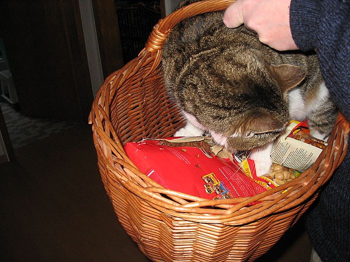 Loulou hat eine Futtert&uuml;te aufgeschlitzt