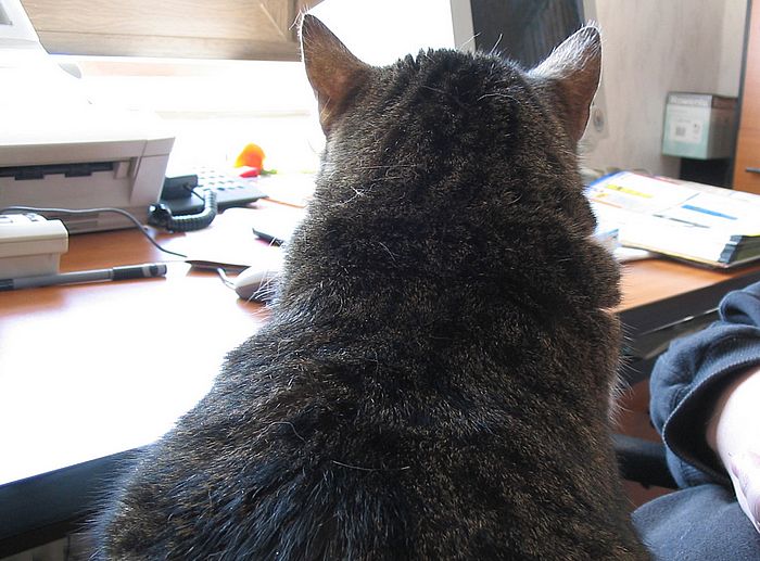 Loulou zeigt ihren R&uuml;cken