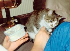 Loulou beim Quarkessen - 1995
