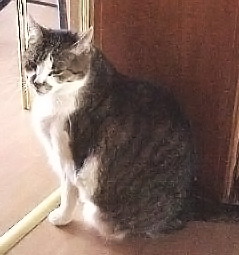 Loulou, die ältere