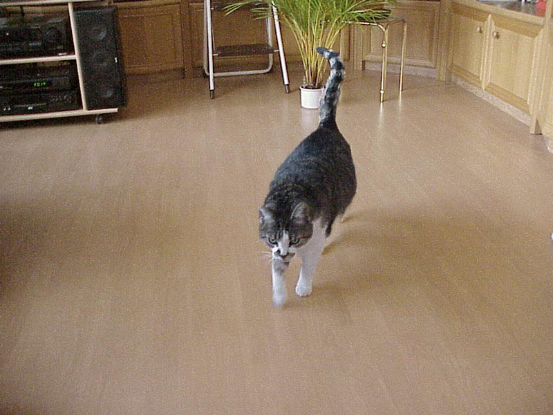 Loulou auf Rundgang
