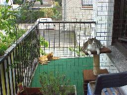 Der eingez&auml;unte Balkonteil unserer Katzen