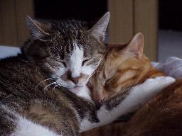 Loulou und Migo noch mal von ganz nah