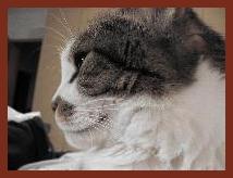Madame ist arrogant