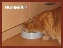 Migo hat Hunger...