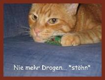 Migo ist platt