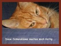 Migo nach Genu&szlig; von Catmixkissen